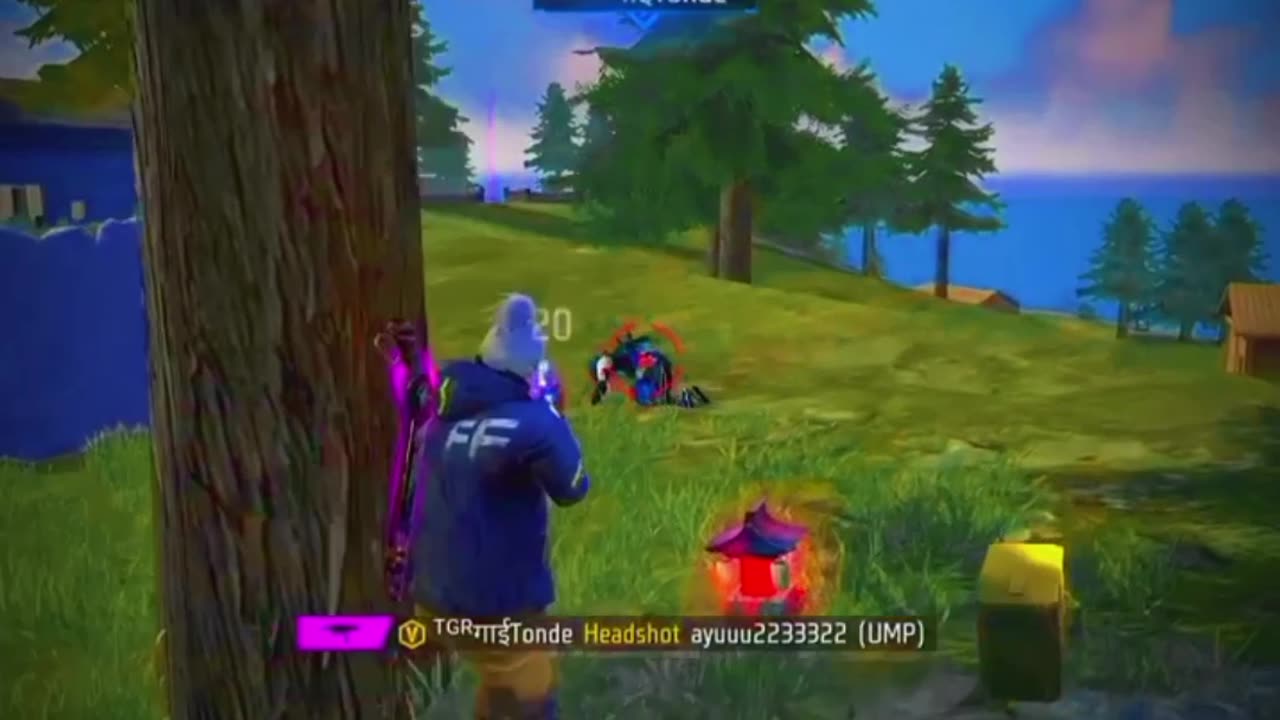 Ff video