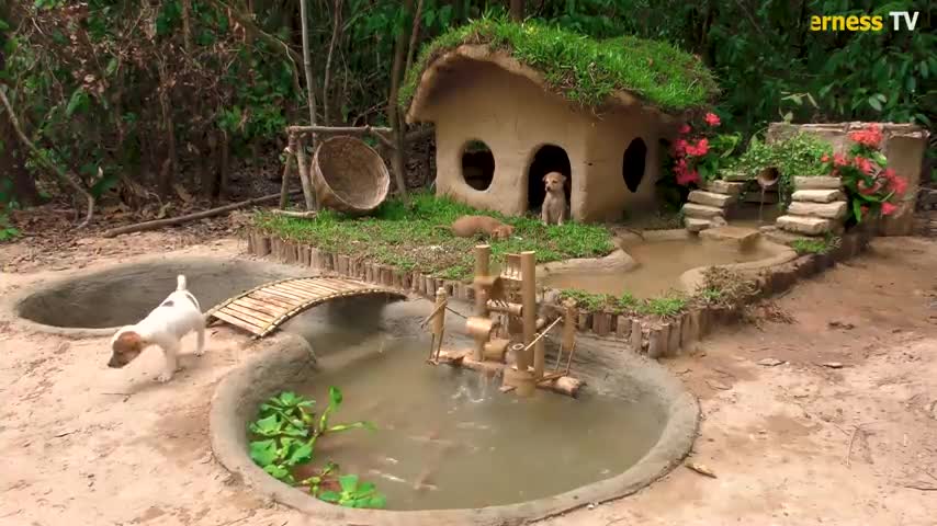 Rescue abandoned puppies building mud house for dog and fish pond for red fish.