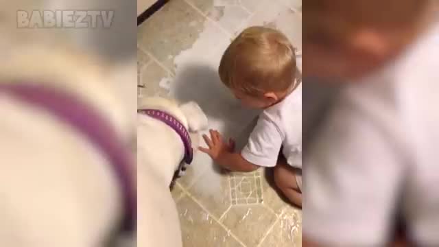 Adorable baby playing with a dog