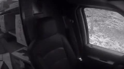 FedEx driver hits hornets nest while doing delivery