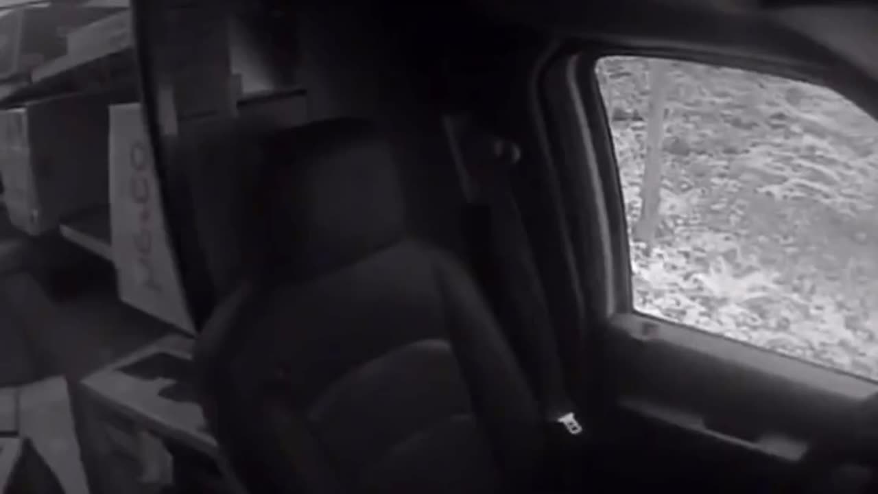 FedEx driver hits hornets nest while doing delivery