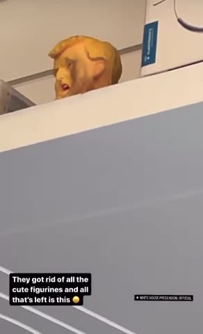 Beaten Up Head In white house (small letters) briefing room