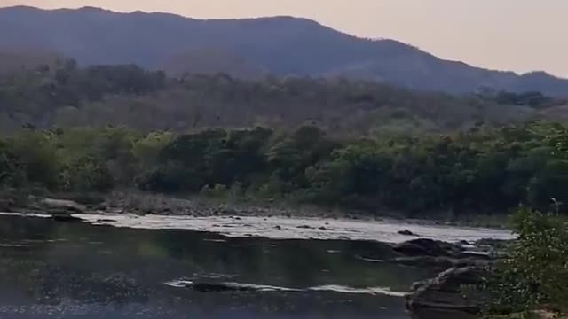 Quer ver Deus contemple a natureza.