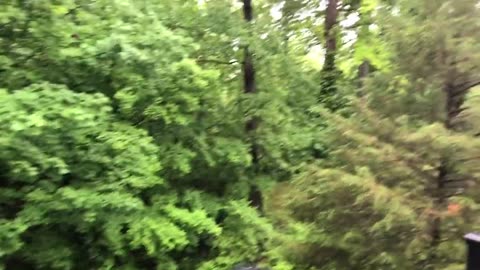 May 28, 2020 - A Gentle Morning Rain