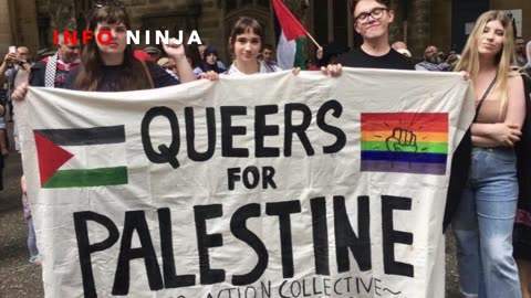 Gays for Palestine is HYSTERICAL!