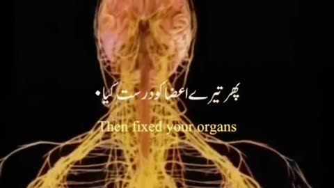 Islamic videos