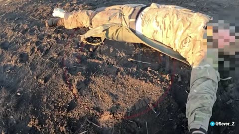 Ukrainian Armed Forces near the settlement. Andreevka