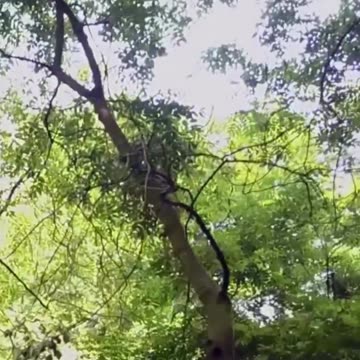 I Prefer to Live and I Will Be Ready When God Calls Me Home #affirmations #soundhealingmeditation