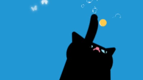 Cute cat 🐱