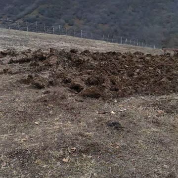 tractor plows the land