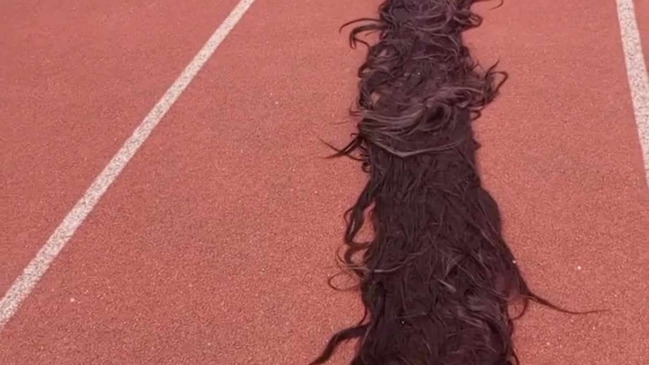 World Longest Wig