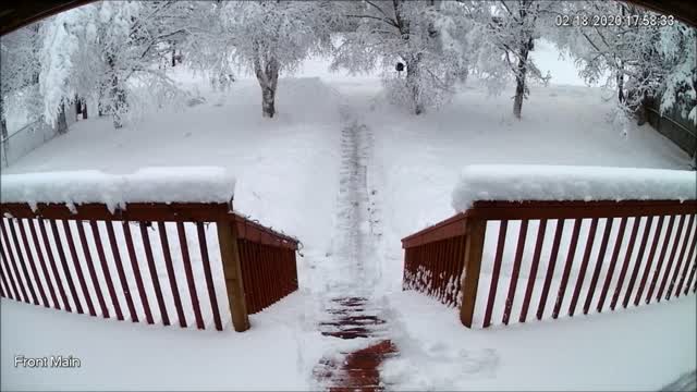 Snow load breaking branch