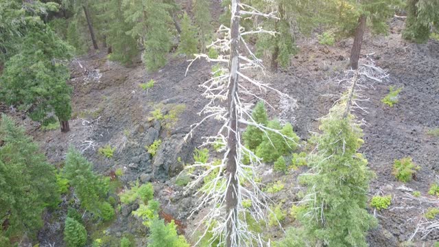 Lava Flows of Clear Lake. What I have discovered here.