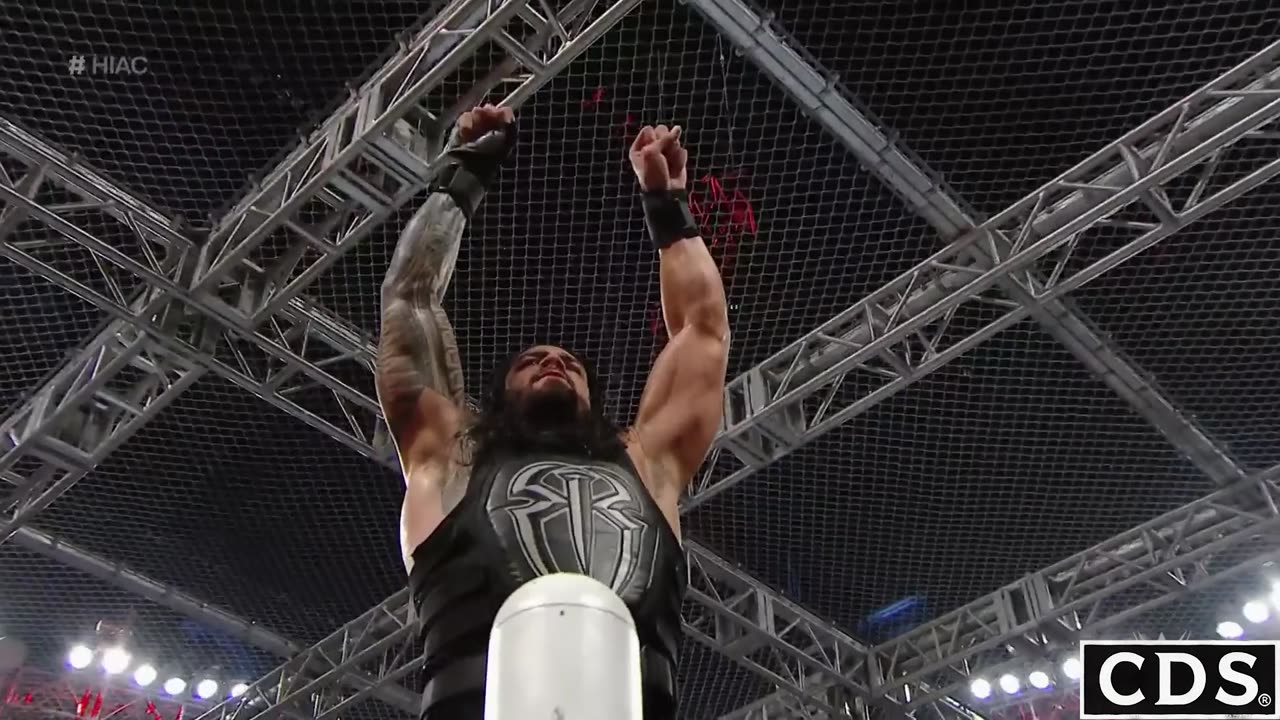 Roman Reigns vs Bray Wyatt Hell in a Cell 2015 Highlights