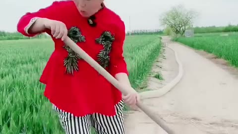 Funny video