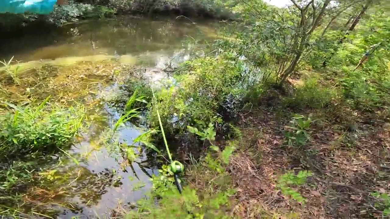 Chasing Trophy Bass: 10lb Monsters in Hidden Pond"