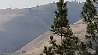 Lenore fire 5