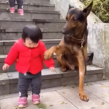 The Cutest Babysitter Ever 💙😊♥️👶🐕‍🦺