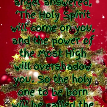 🎄 Countdown to Christmas: Day 7 - A Hopeful Beginning 🎄