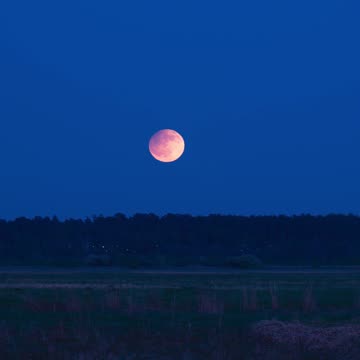 Moonrise at the moment of a penumbral eclipse