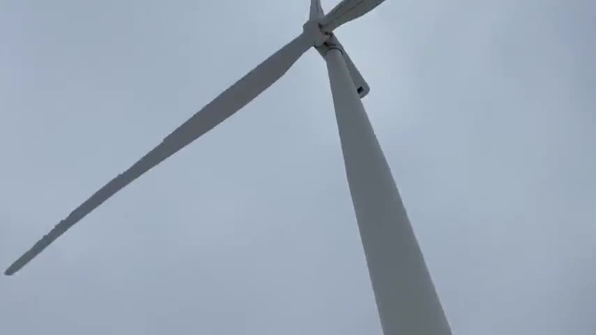 TUCKER CARLSON: BLOWN AWAY... THE PEOPLE VS WIND POWER