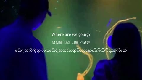 Running Through The Night - Seori Myanmar Subtitle