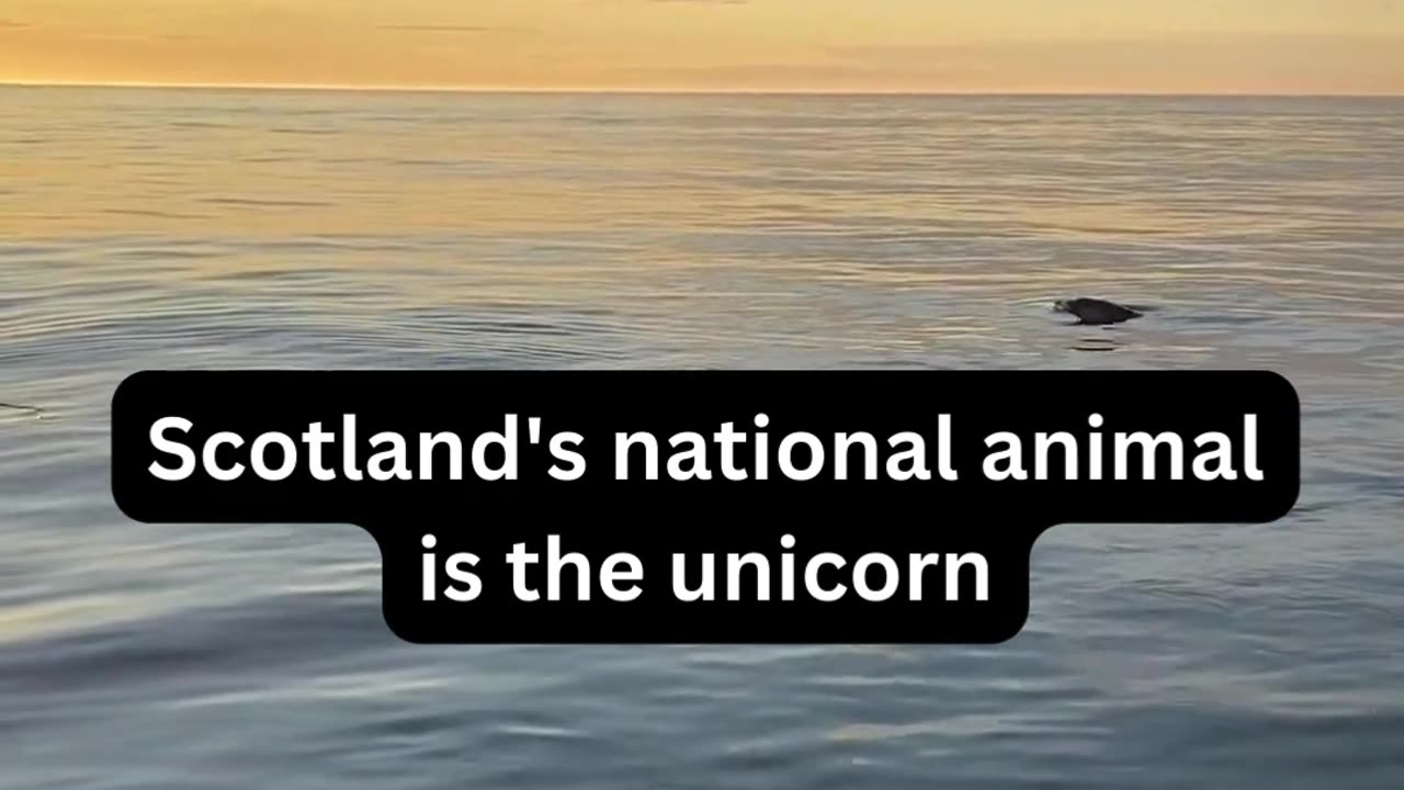 Interesting Facts Part 1. #funfacts #didyouknow #uselessfacts