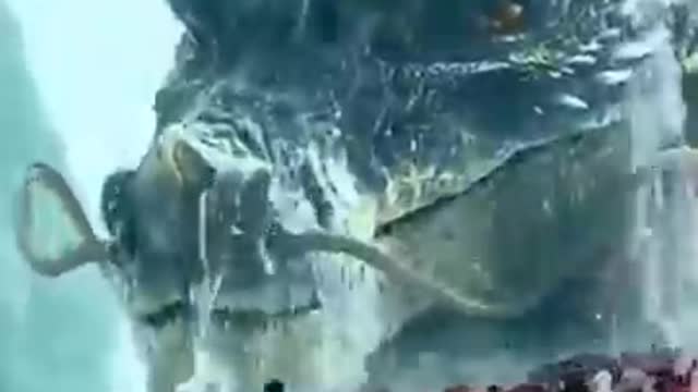 Very dangerous video. Today viral videos. Top short videos clip.