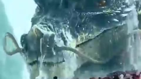 Very dangerous video. Today viral videos. Top short videos clip.