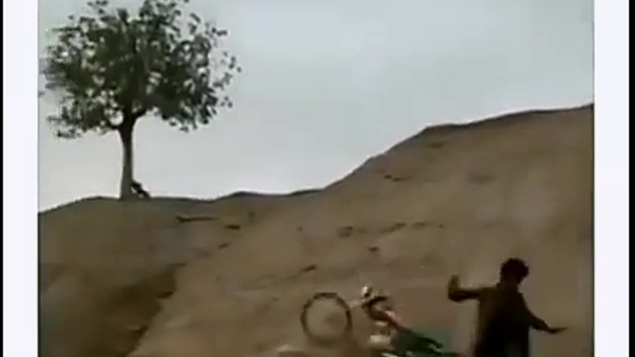 Kya video hai 🤣🤣