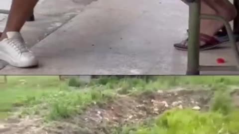Funny videos 2024