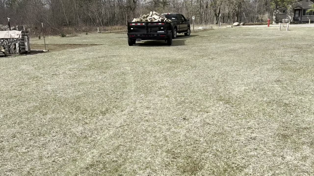 Processing Firewood