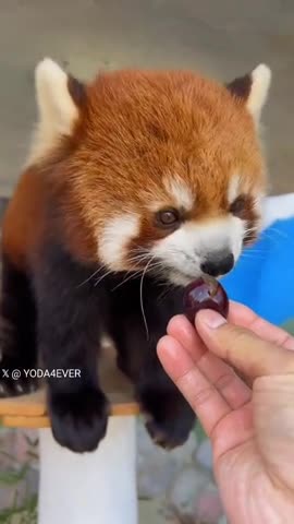 Finger licking good 😊