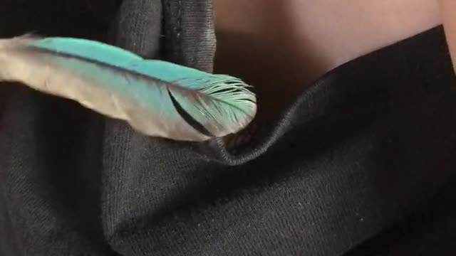 Peek a boo Zelda