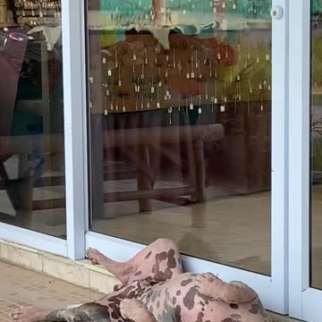 go home leave the store with me I'll stay tuned