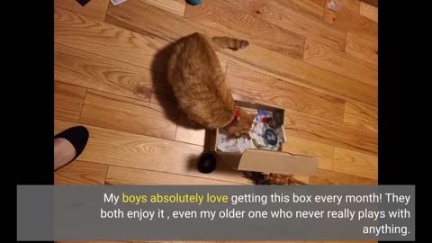 KitNipBox | Happy #Cat Box | Monthly #Cat-Overview