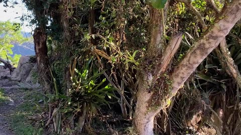 18/28 - Experiência imersiva pelas Praias de Governador Celso Ramos até a Praia das Conchas
