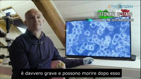 Armin Koroknay, aspetto del sangue prima e dopo il "vaccino".