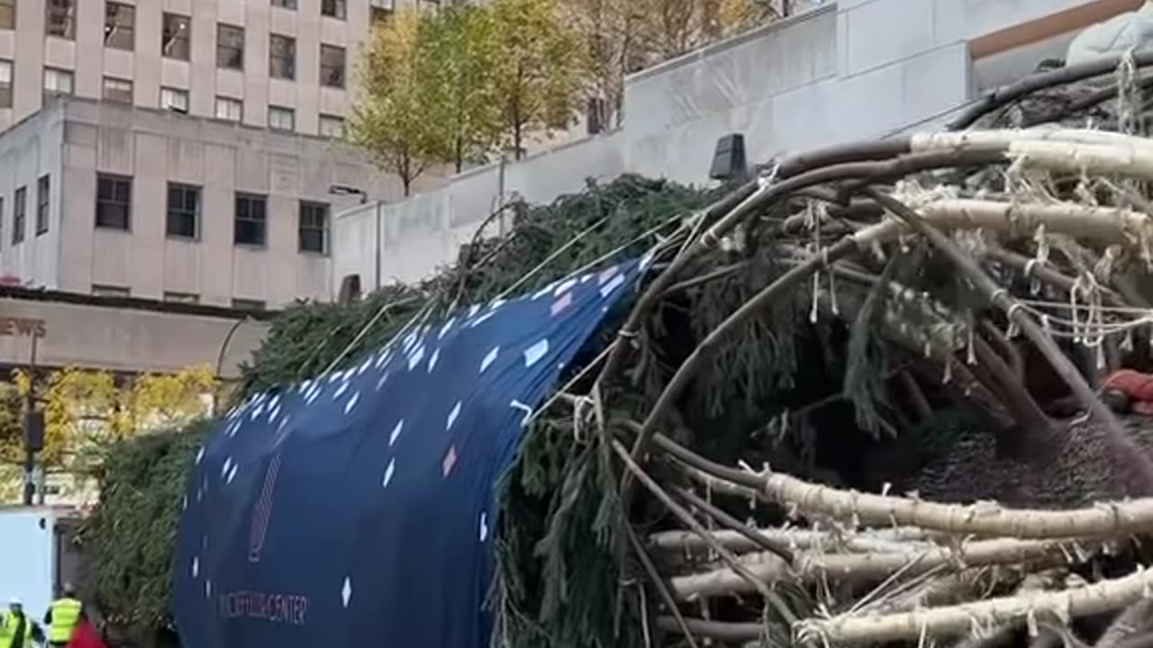 Christmas Tree arrived in New York city ✨️