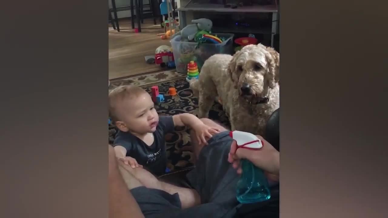 Babies & Dogs Cute Moments!