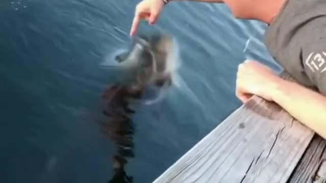 Whoseeingthisin2021#fishing