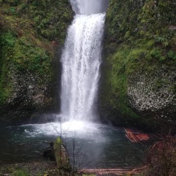 Natural Video Clips # - 40