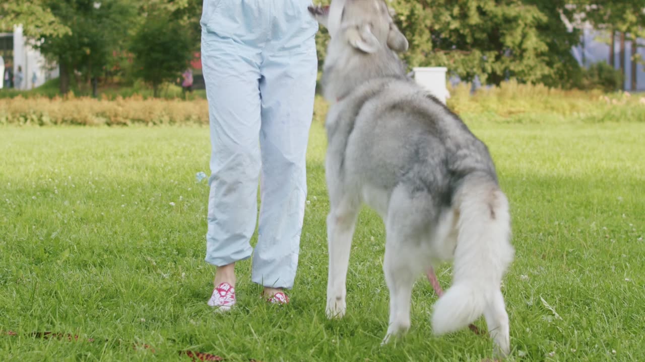 Cute Dog πΆπβ€οΈπ