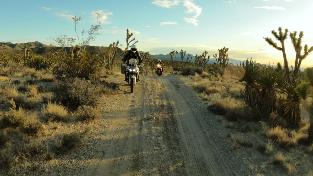 Backcountry Discovery Road California, Hi Sahara Oasis to Primm