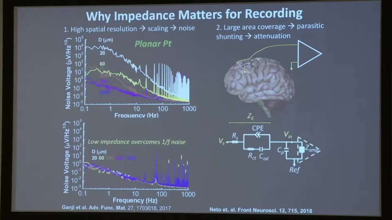 2019 EMBS Workshop Shadi Dayeh: 1,024 channel microelectrode arrays reveal insights into human brain