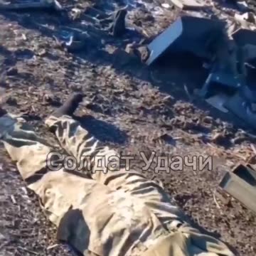 Destroyed armored personnel carrier M113 of the Armed Forces of Ukraine