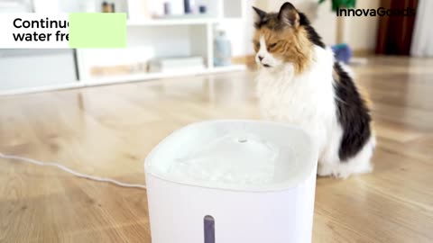 PET FOUNTAIN