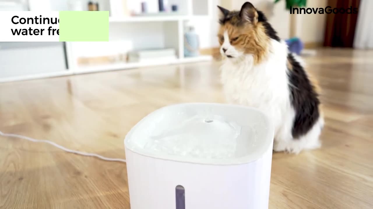 PET FOUNTAIN