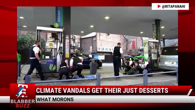 Climate Vandals Get Their Just Desserts