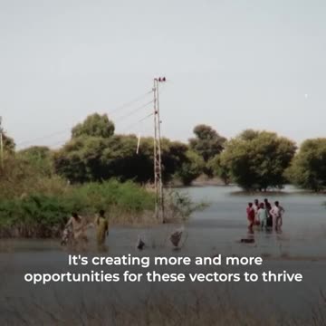 WHO Shifts Its Focus To The Climate Scam